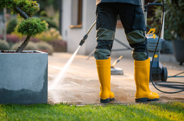 Best Exterior Home Cleaning  in Joppatowne, MD